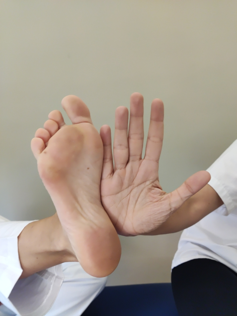 Trabajo en equipo en osteopatía y fisioterapia Sants en Barcelona